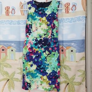 Covington petite dress.